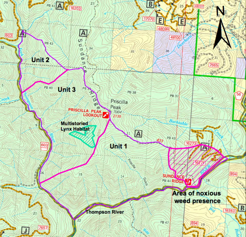 Priscilla Peak Bighorn Sheep Habitat Prescribed Burning – Montana Wild ...