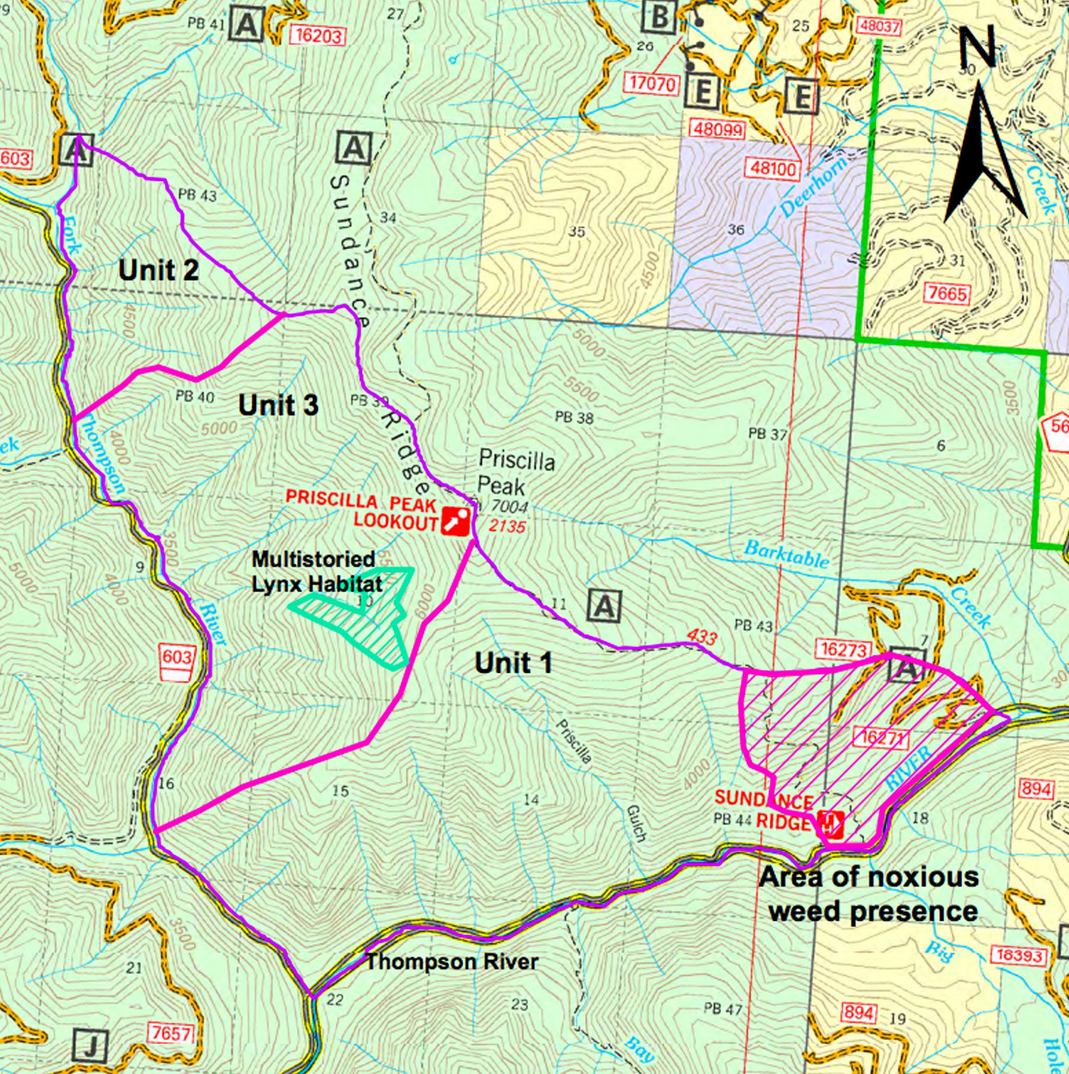 Priscilla Peak Bighorn Sheep Habitat Prescribed Burning – Montana Wild ...