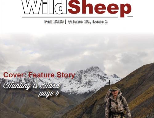 Fall 2020 – WildSheep Newsletter
