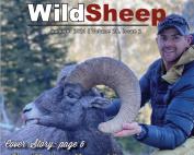 WildSheep Summer 2021