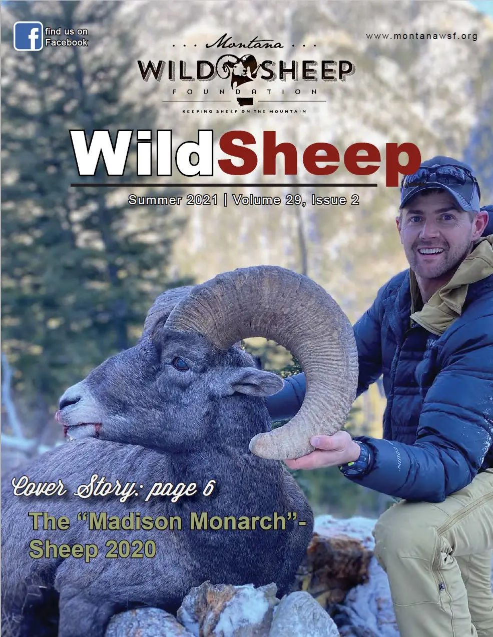 WildSheep Summer 2021