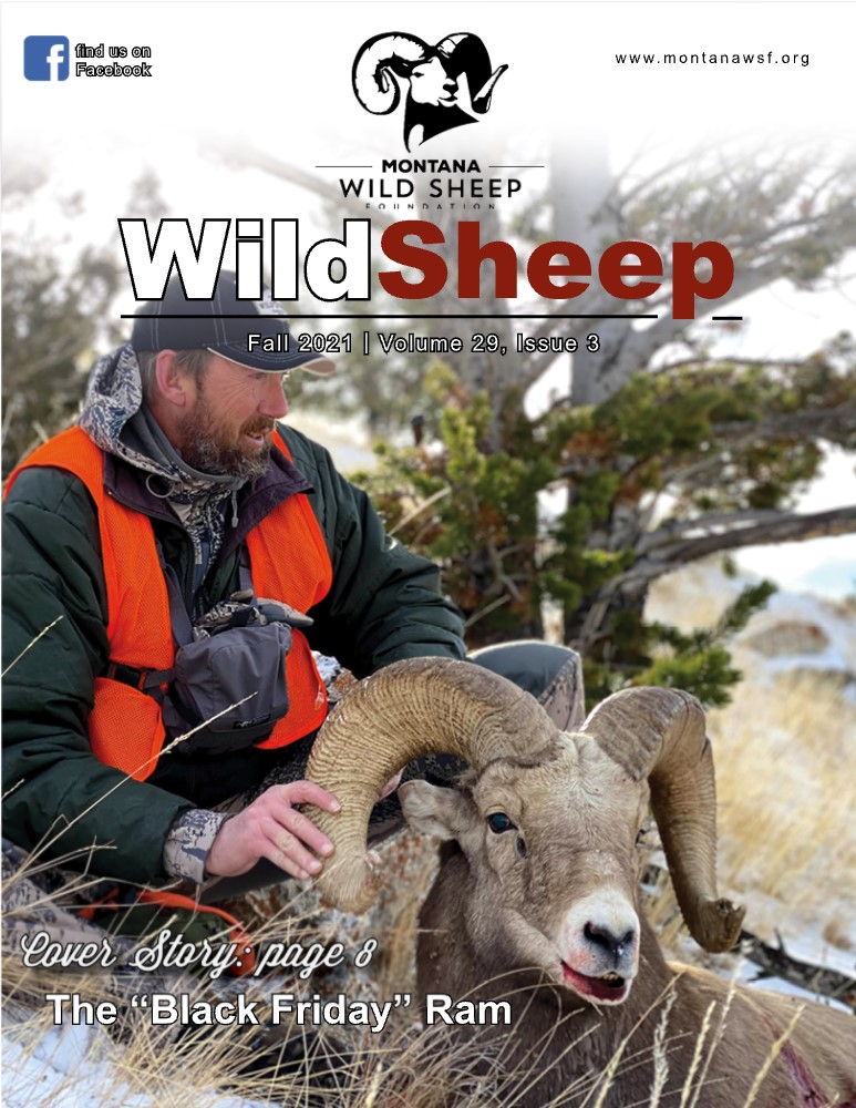 MT WildSheep Newsletter - Fall 2021