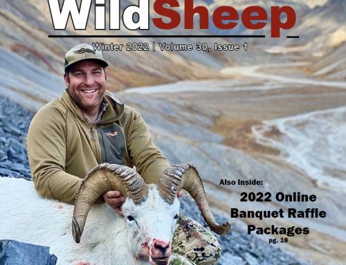 Winter 2022 – WildSheep Newsletter