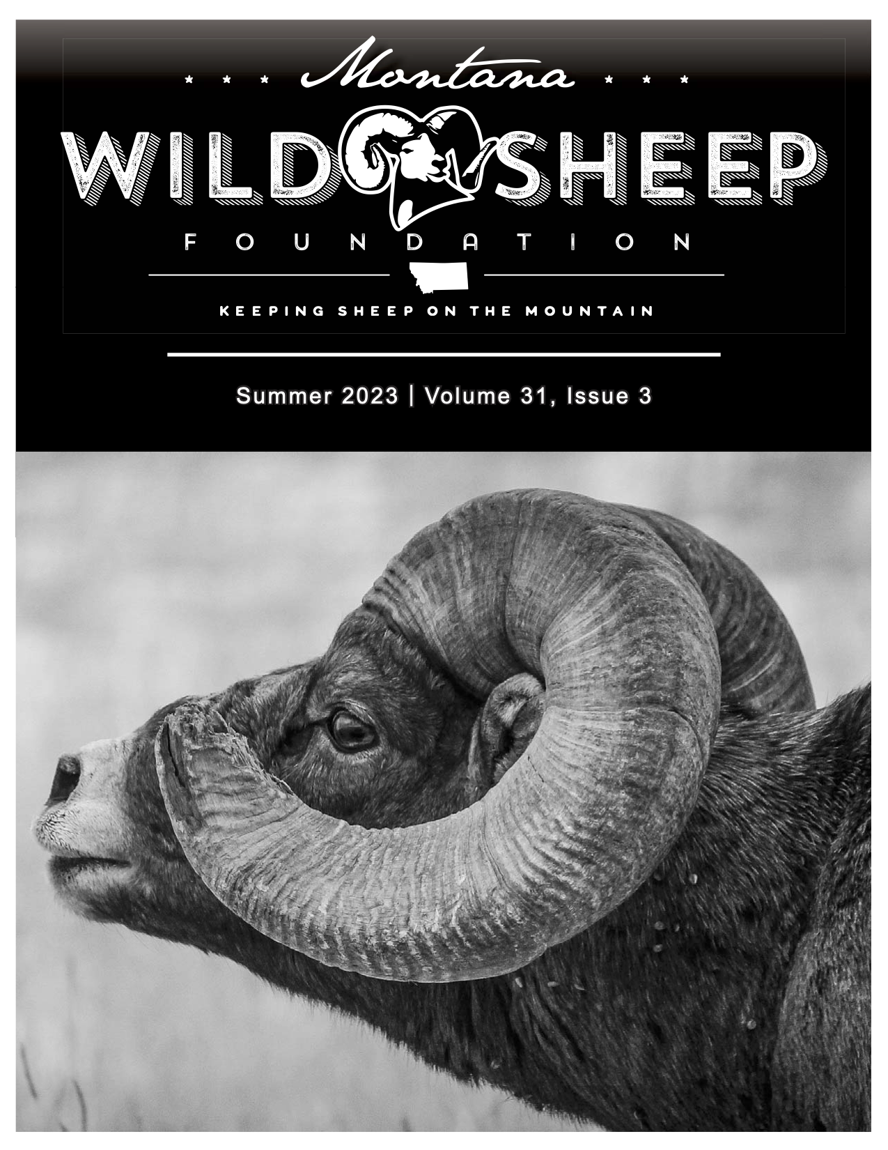 Montana Wild Sheep Foundation Newsletter