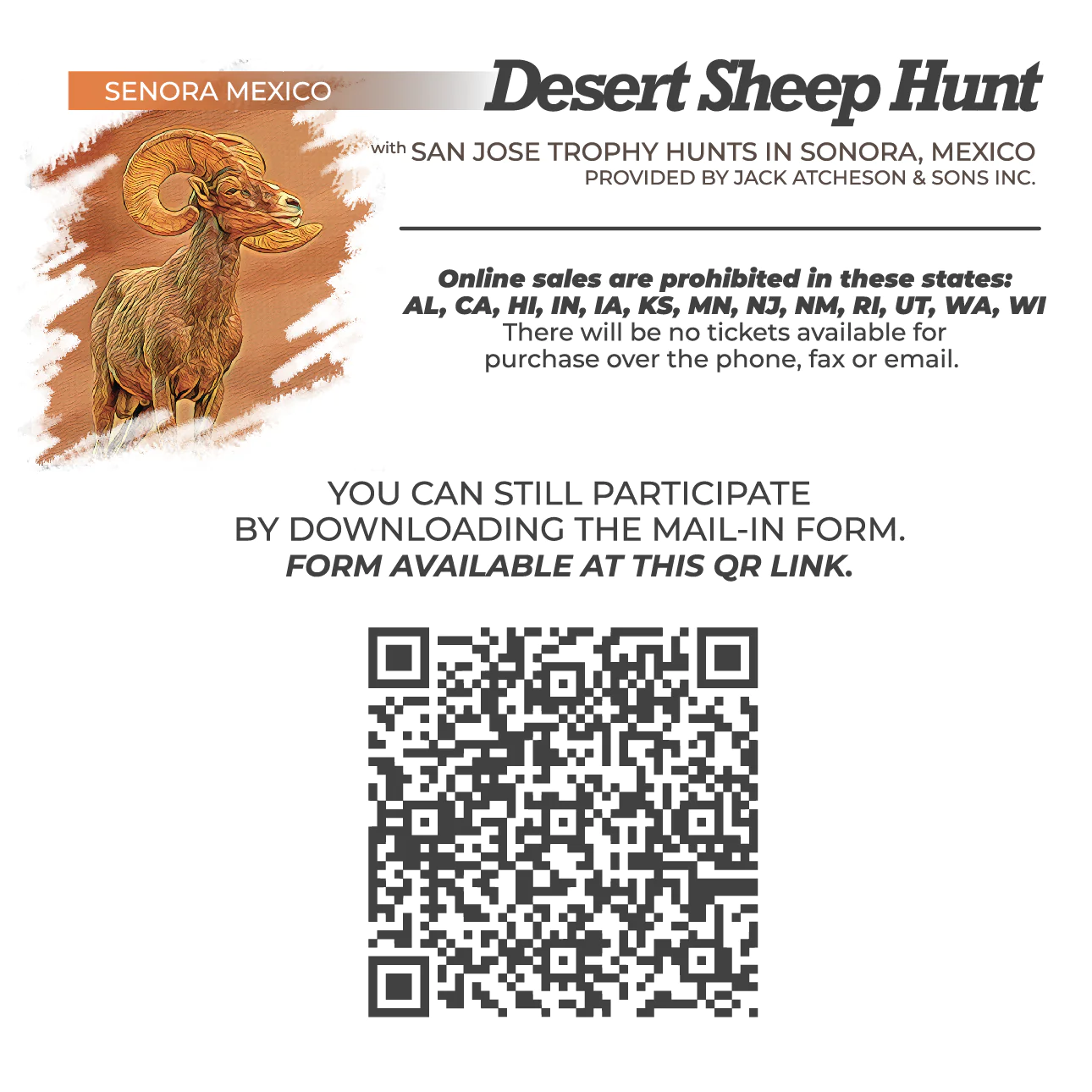 Sonora Desert Sheep Hunt - Image 2