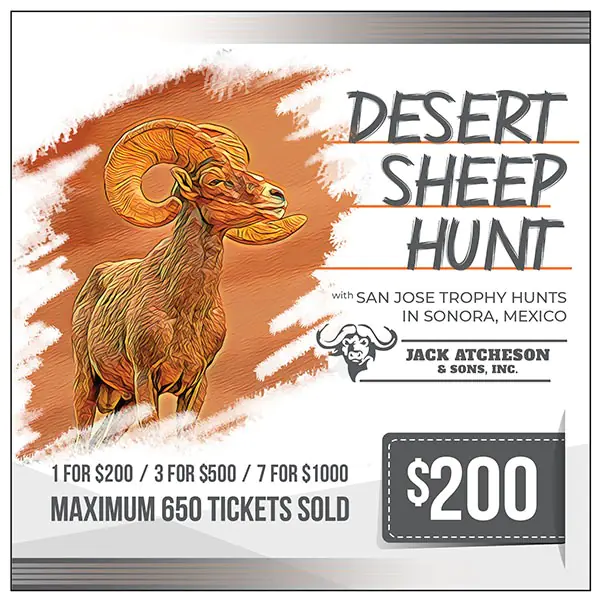 Sonora Desert Sheep Hunt