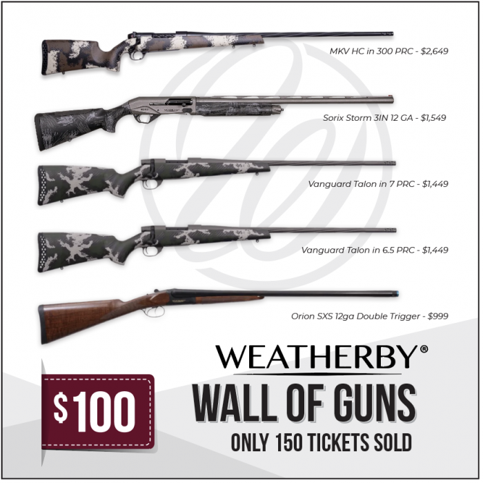 Weatherby Wall of Guns