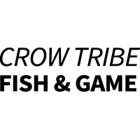 CrowTribe
