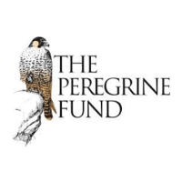 PeregrineFund