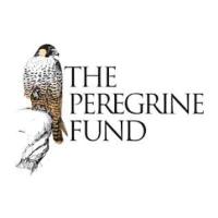 PeregrineFund